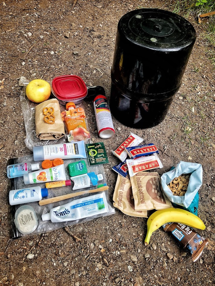 Items that should be packed in your bear canister; food, food waste, trash, and toiletries.