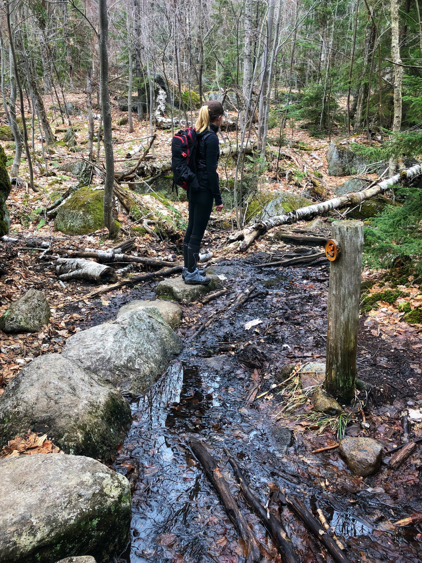 Stick to durable surfaces like rocks and man-made bridging when possible.