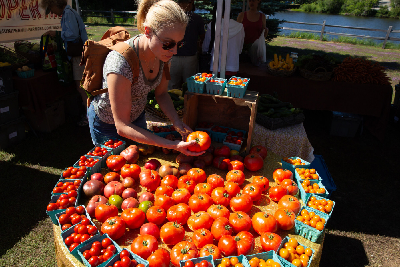 Fresh Off the Farm Adirondacks, USA