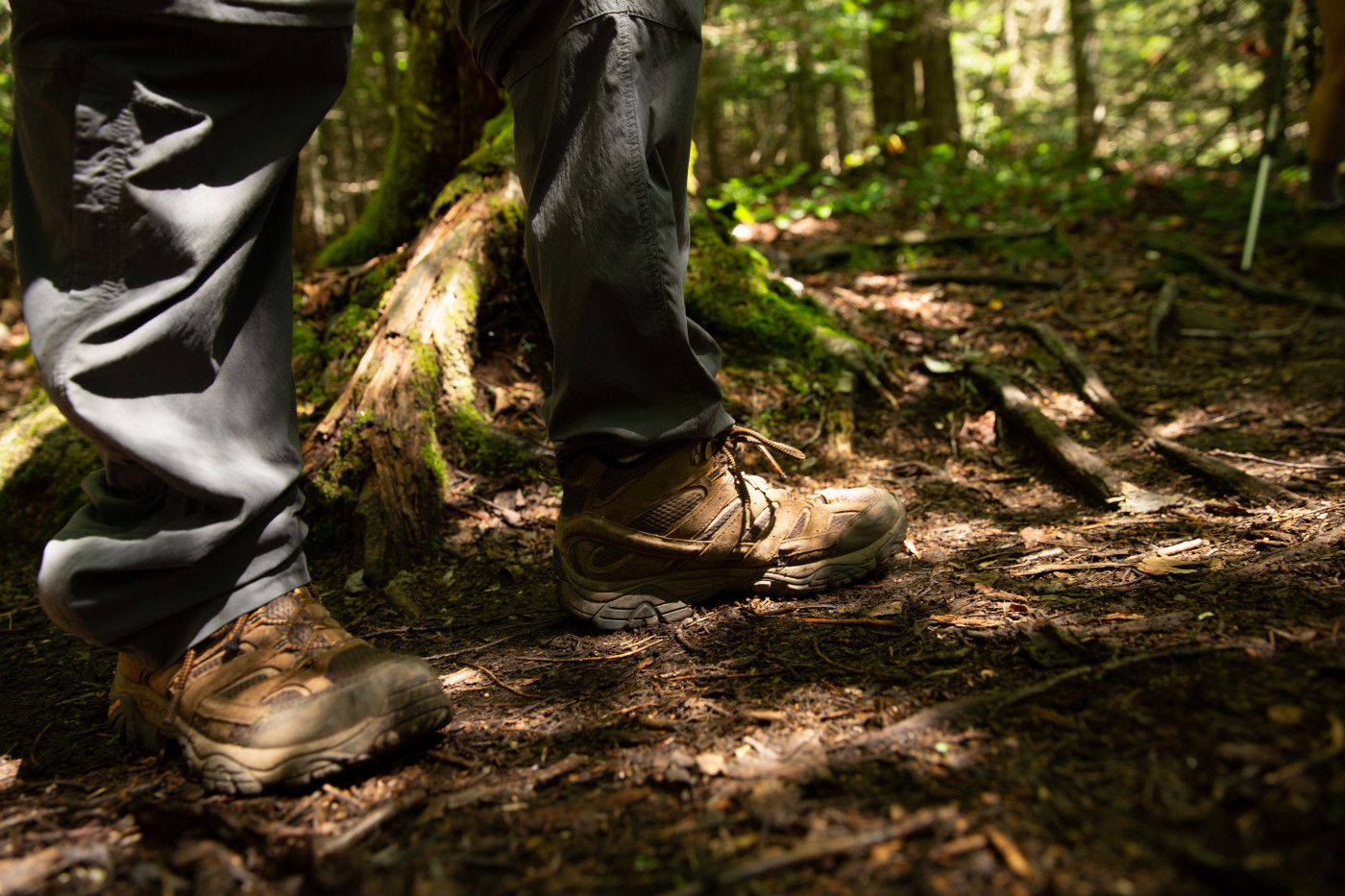 Hiking boots in the Adirondack forest.