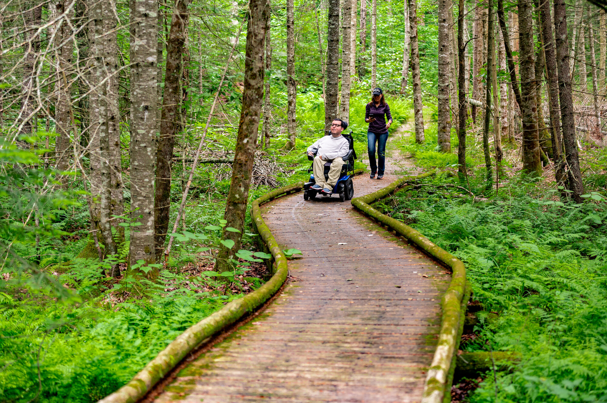 A wheelchair user on a forested boardwalk
