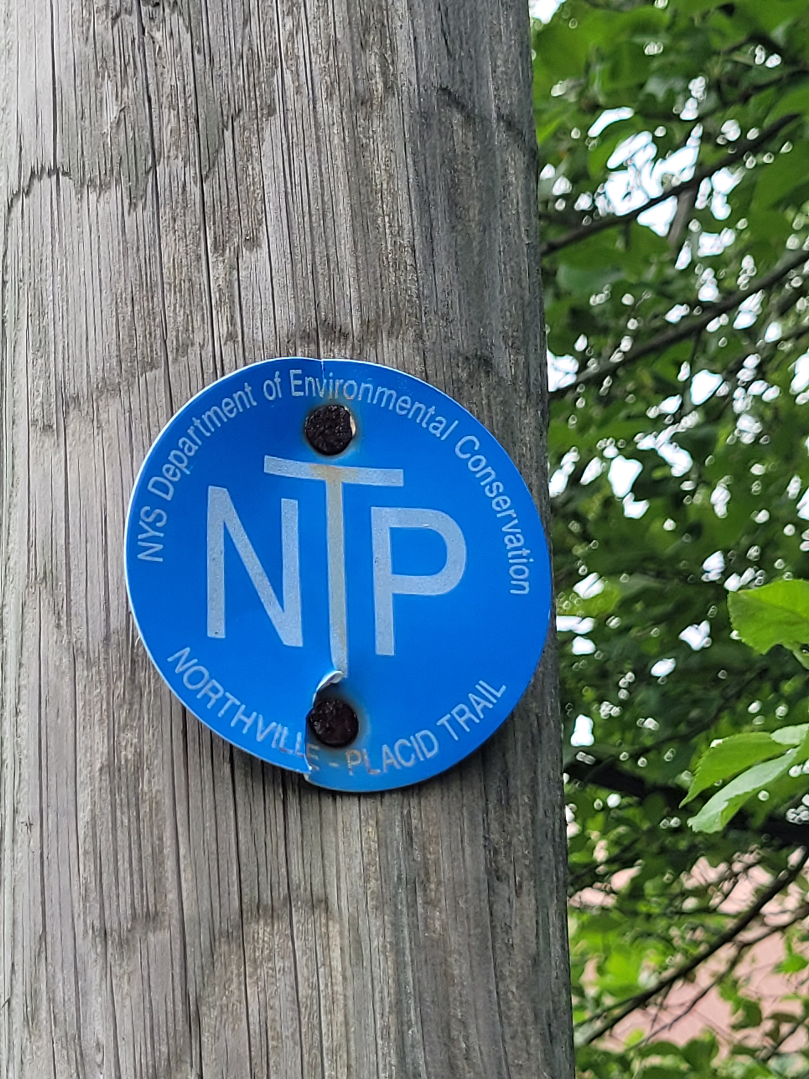 NPT trail marker on telephone pole