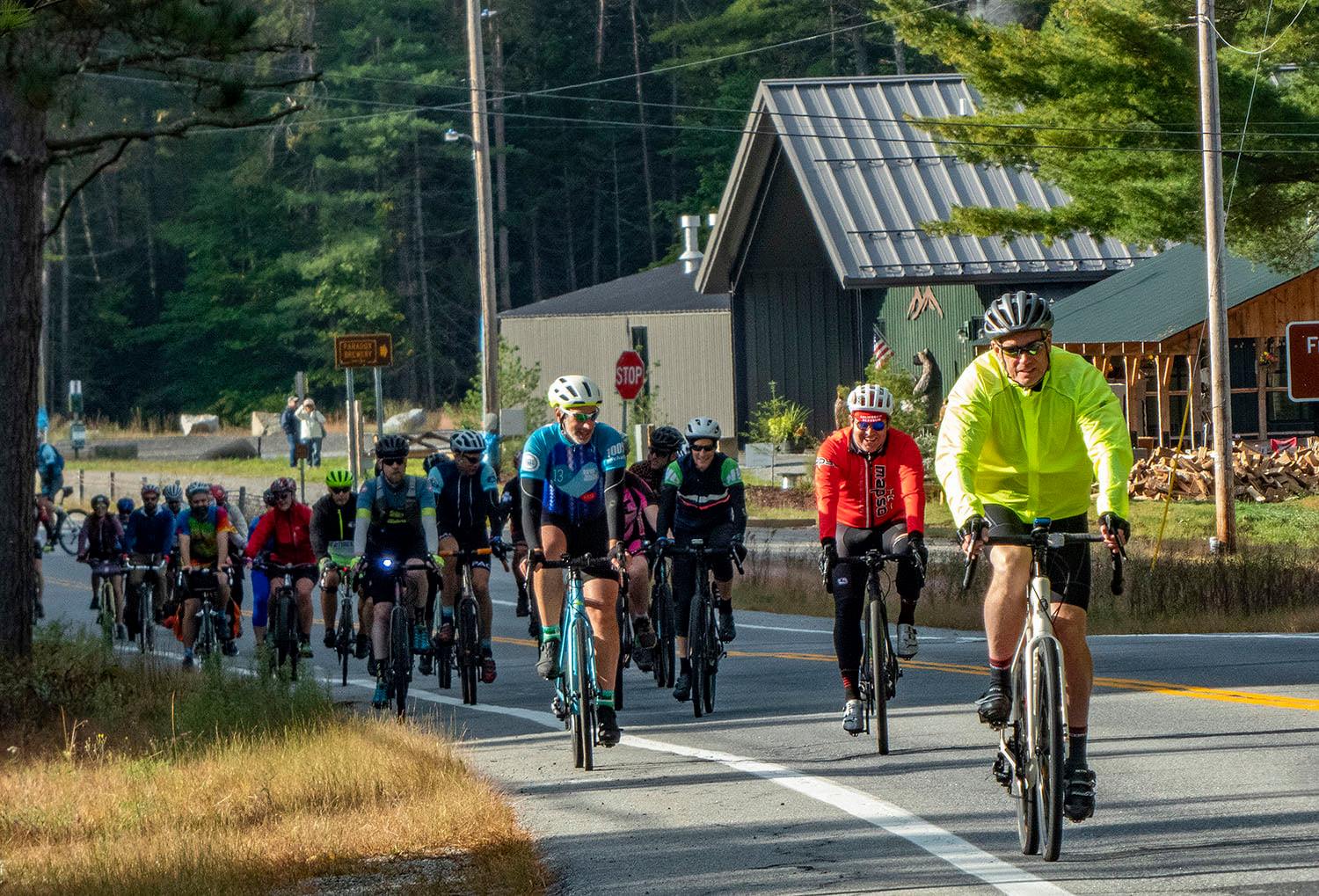 Cyclists on the road