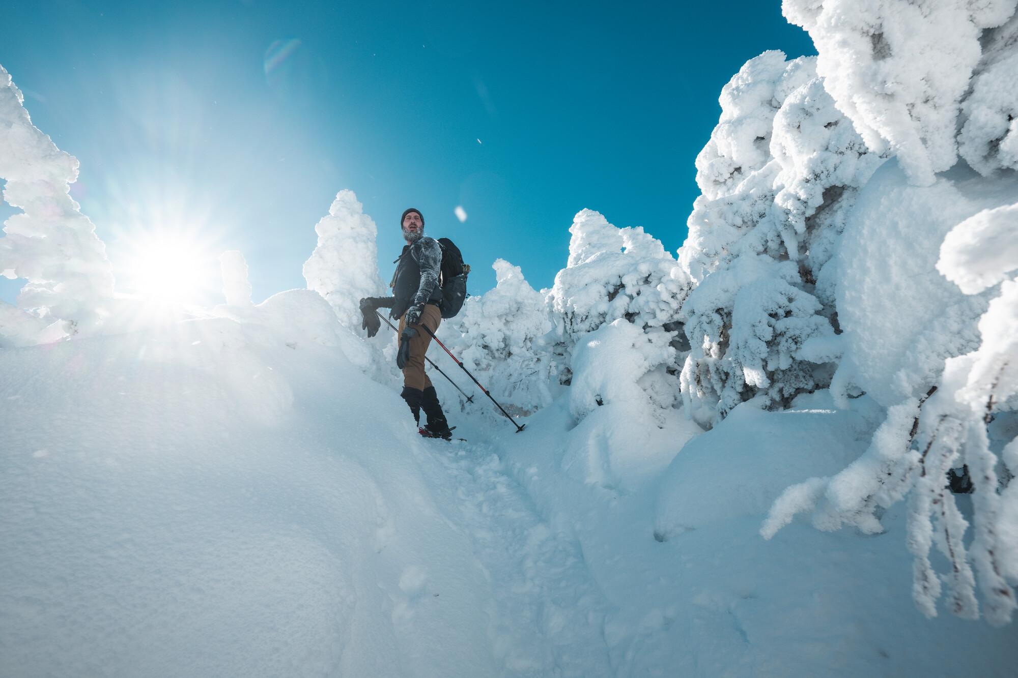 Someone deep in the winter wilderness, snowshoeing