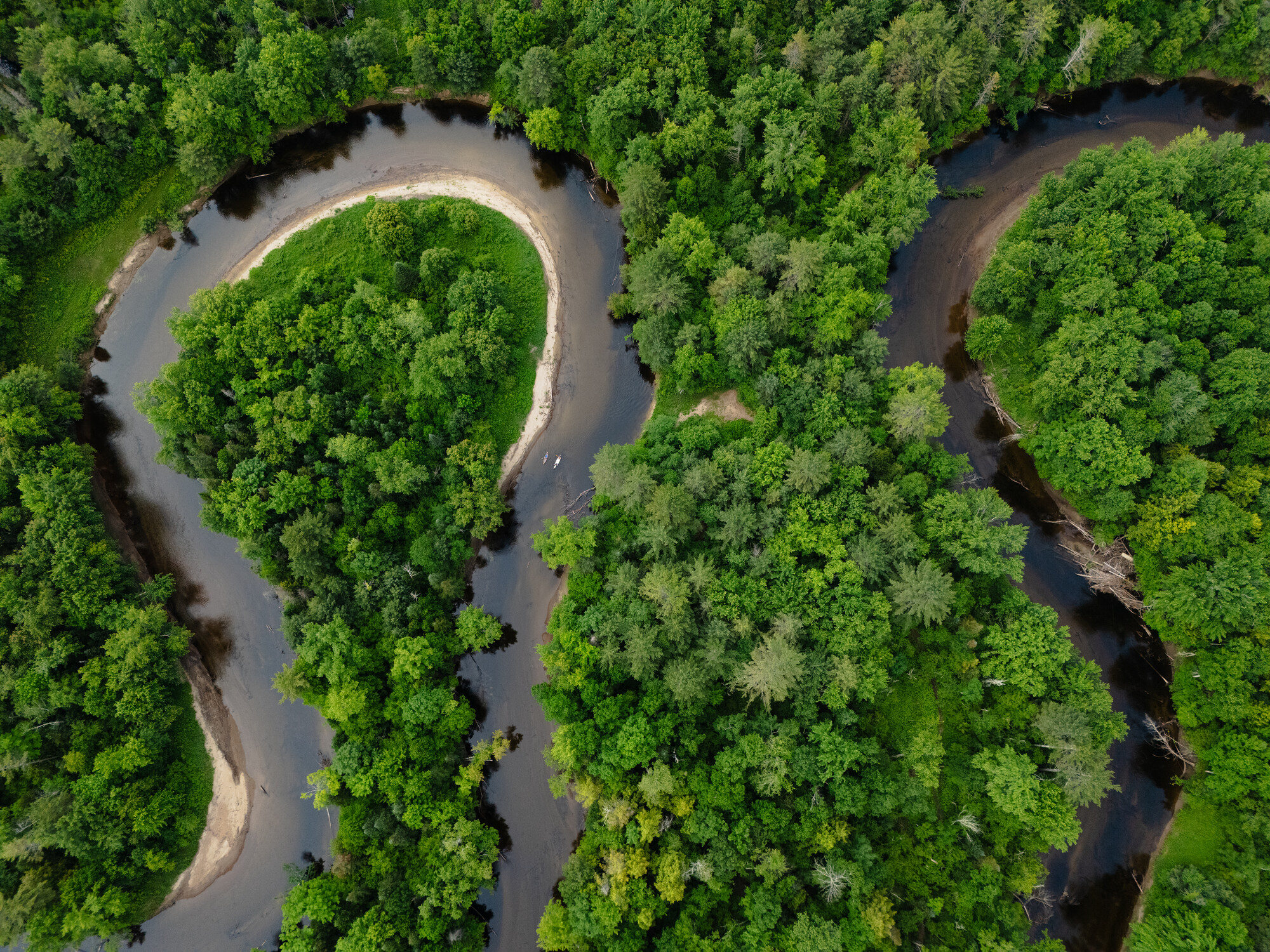 A winding river from a birds-eye view