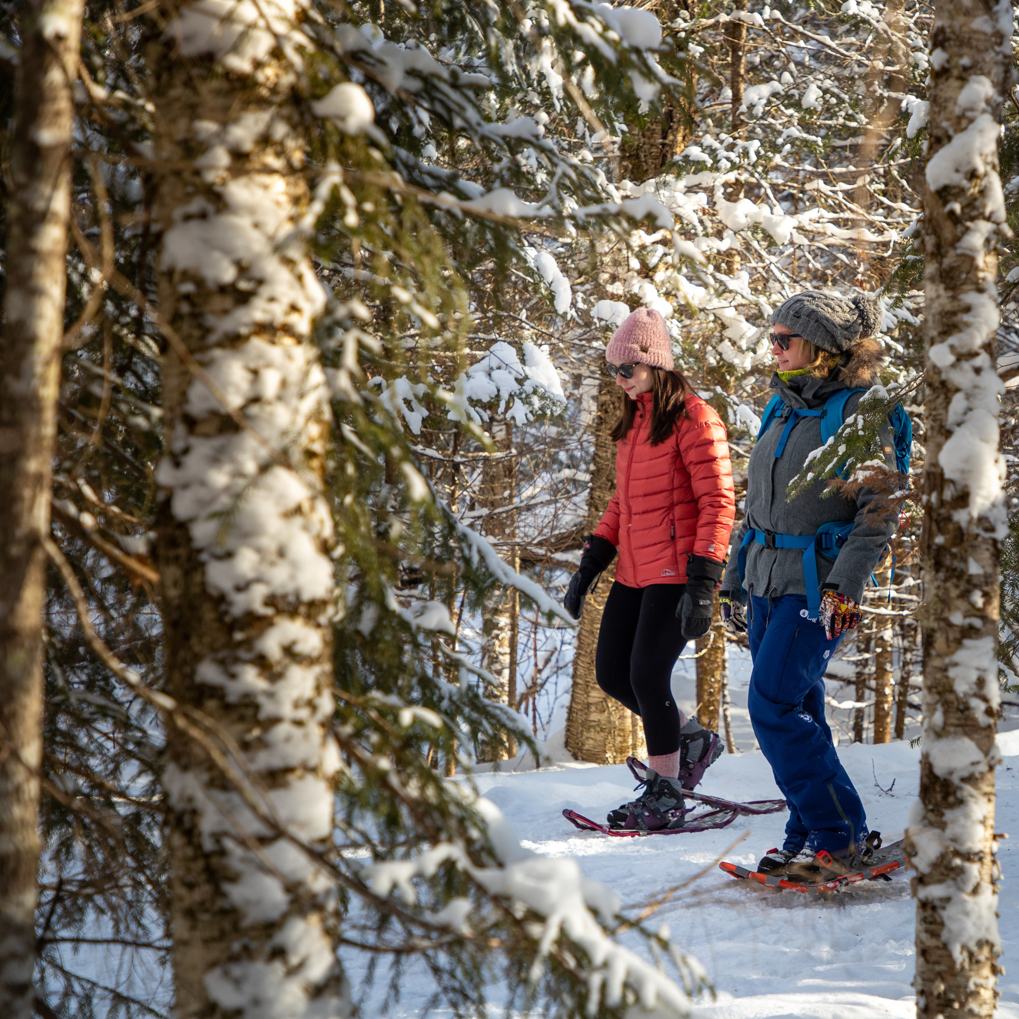 Two snowshoers in the woods