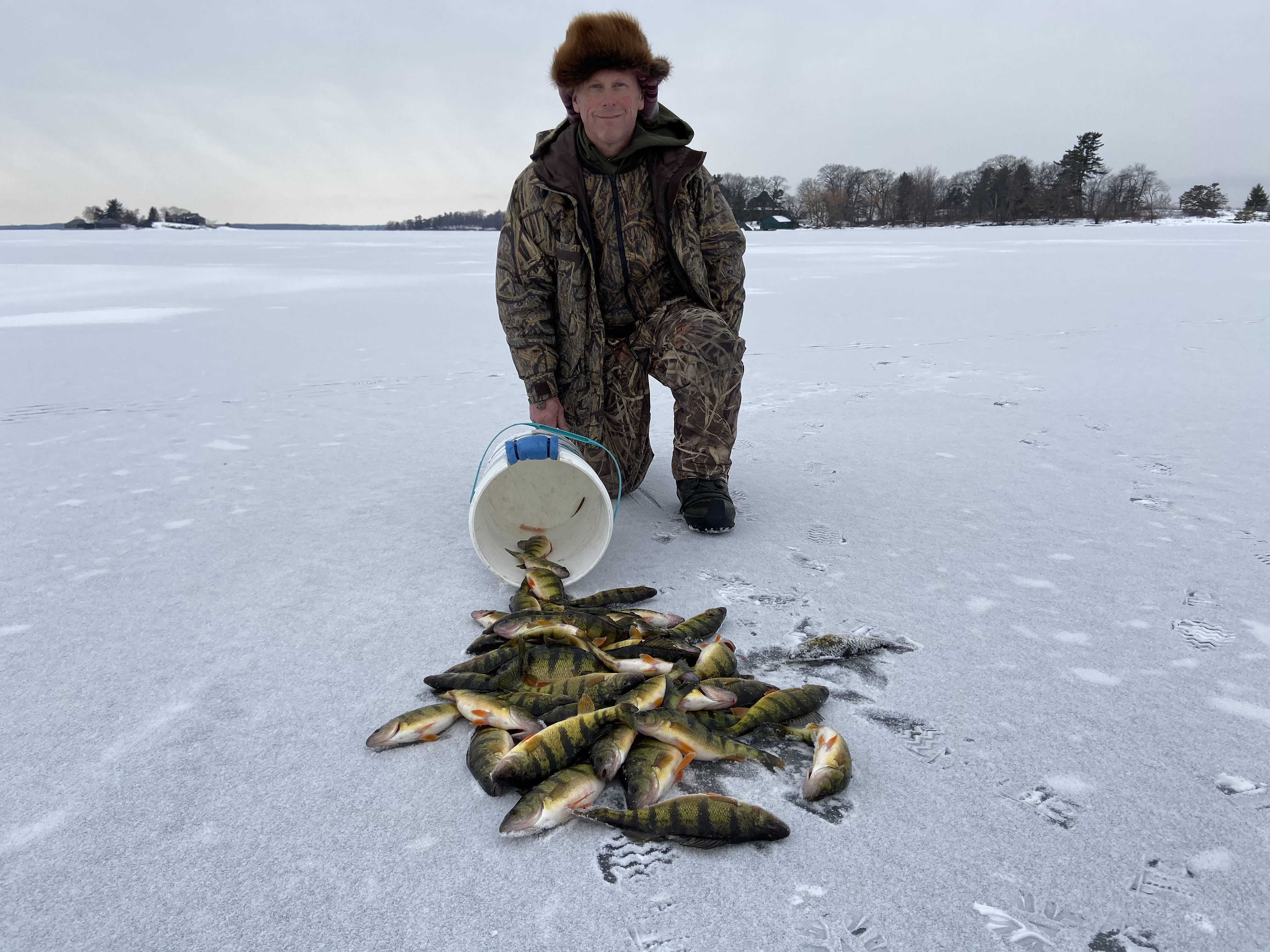 A man with his take of perch after ice fishing