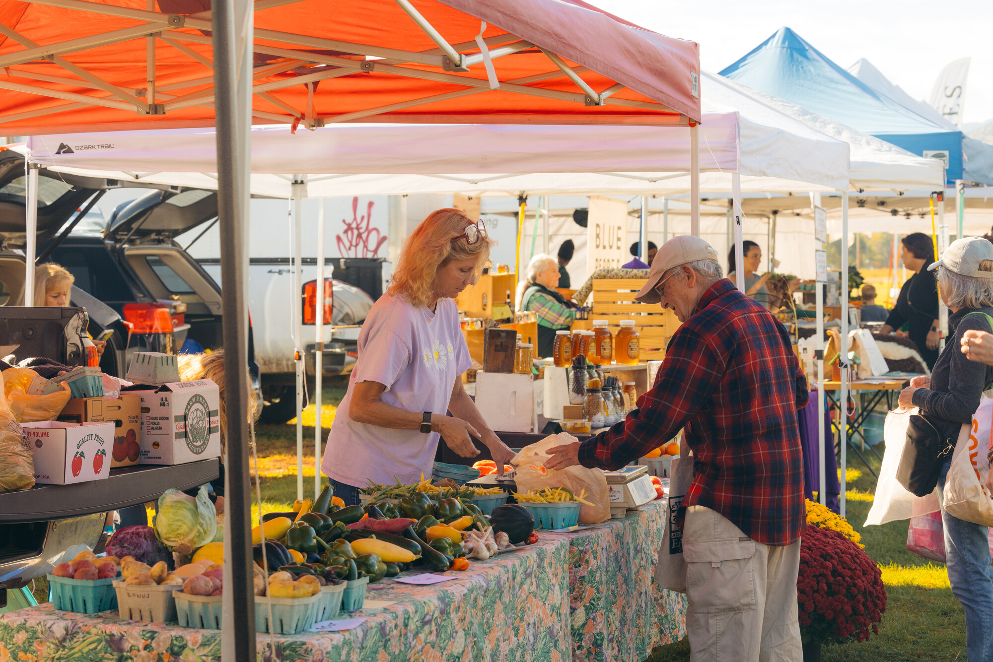 Someone buying veggies at a farmers' market