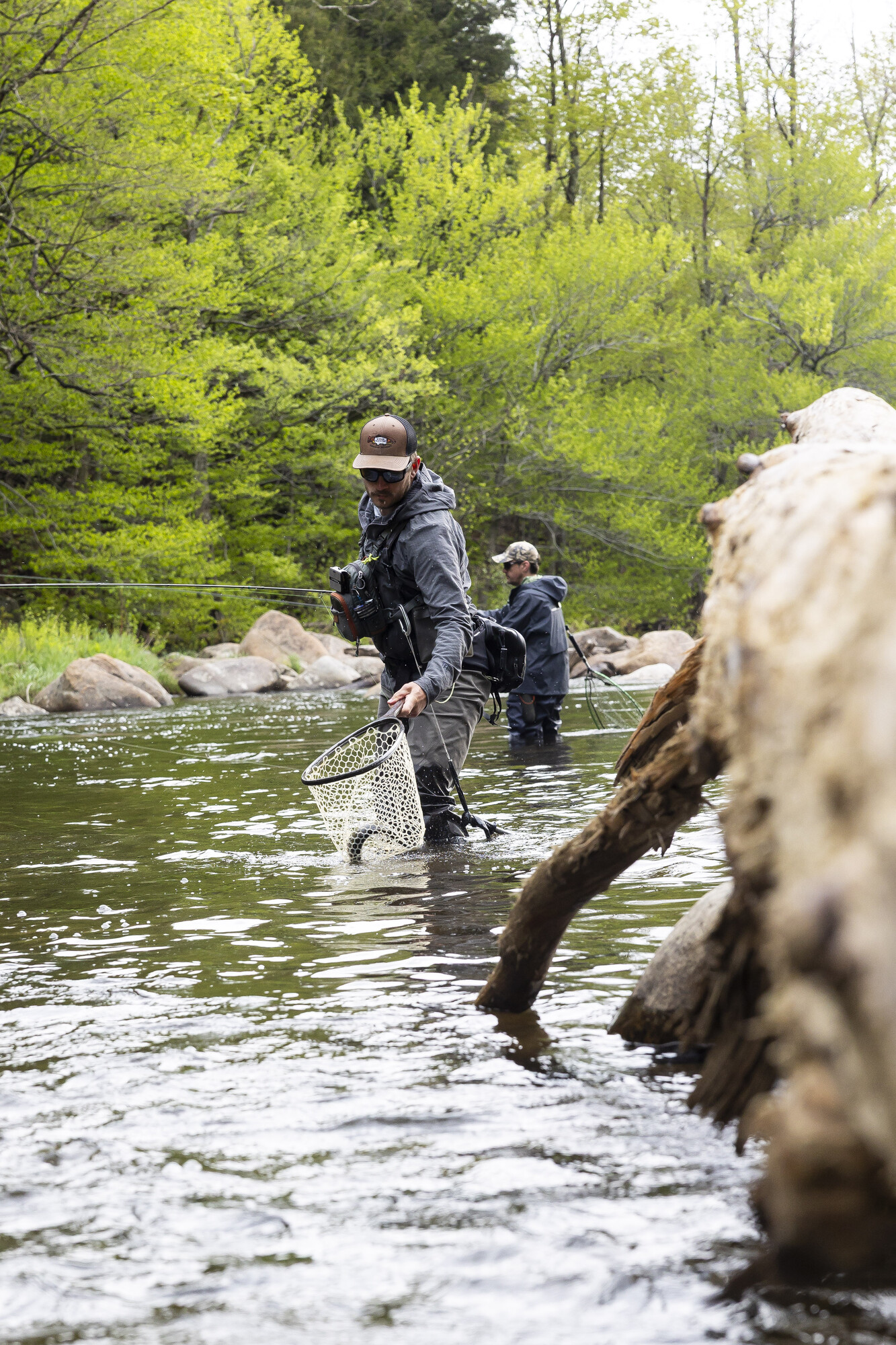 A fly fisher netting a trout