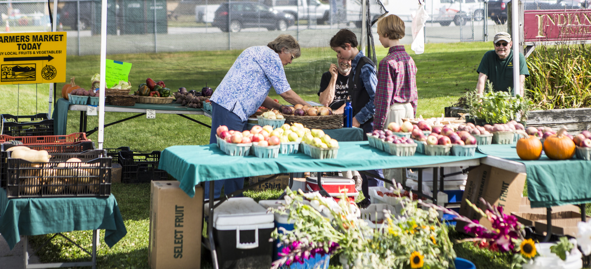 A vegetable stand at a farmers' market
