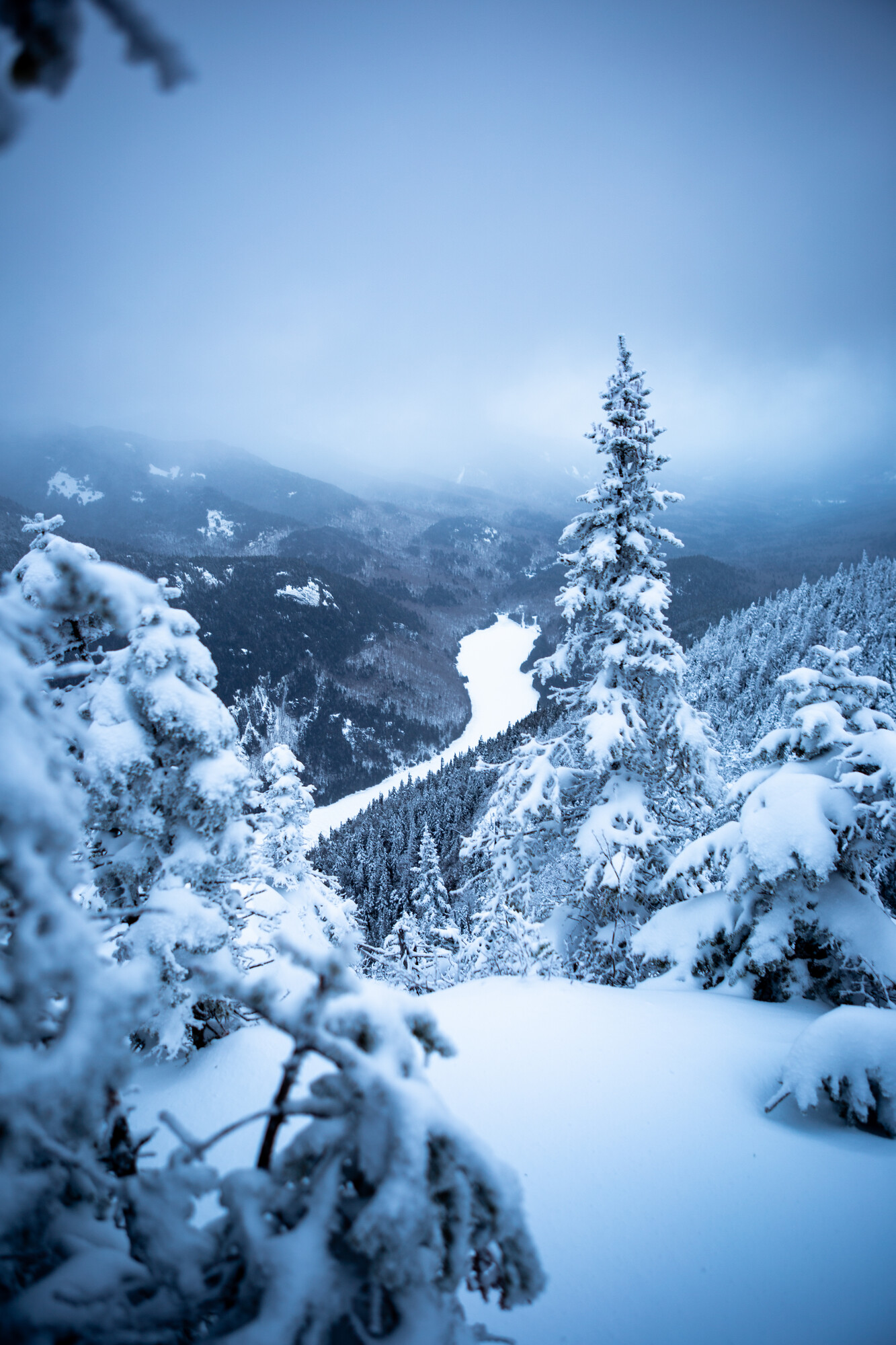 View of a frozen lake amongst pine trees in the mountains
