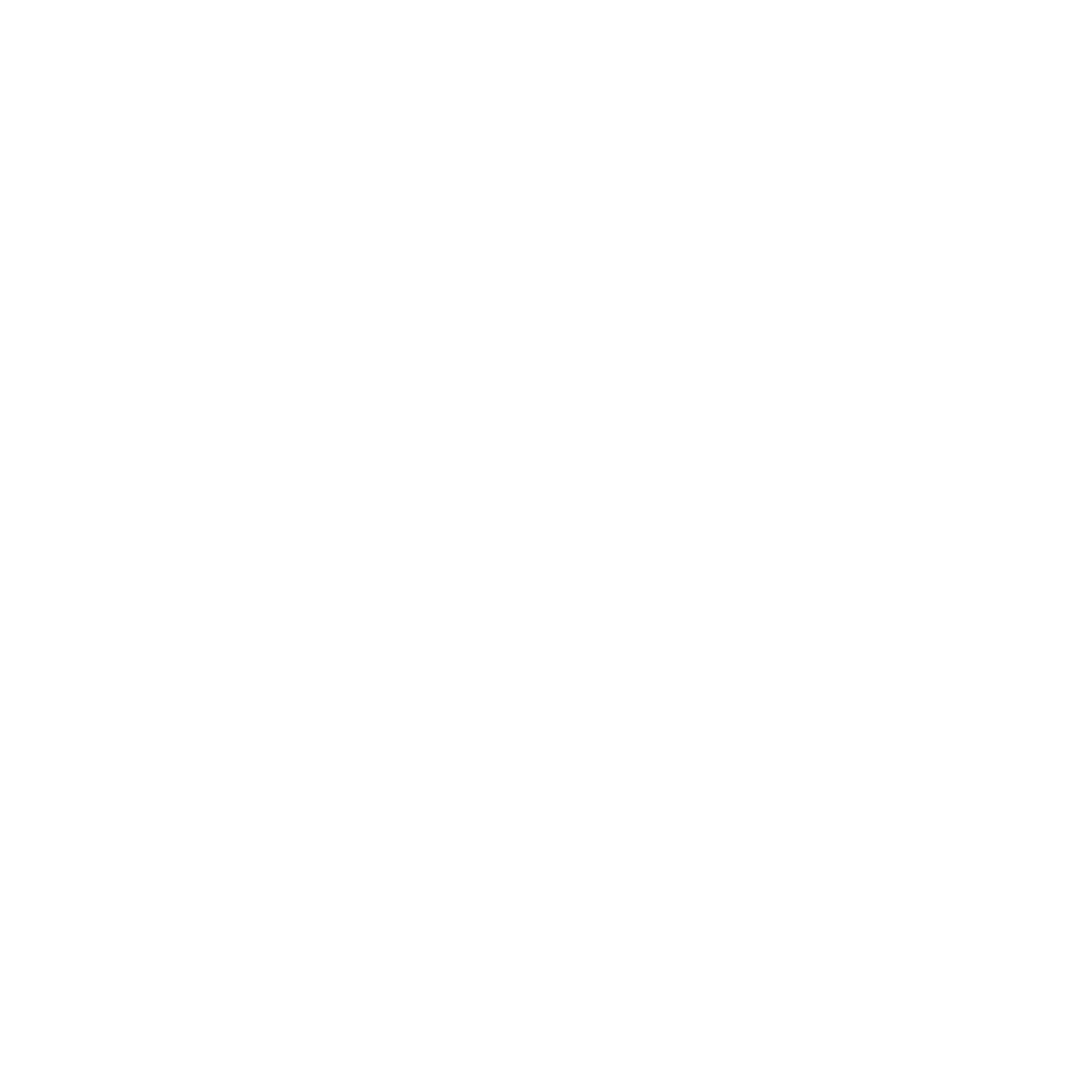 Adirondack Rail Trail.