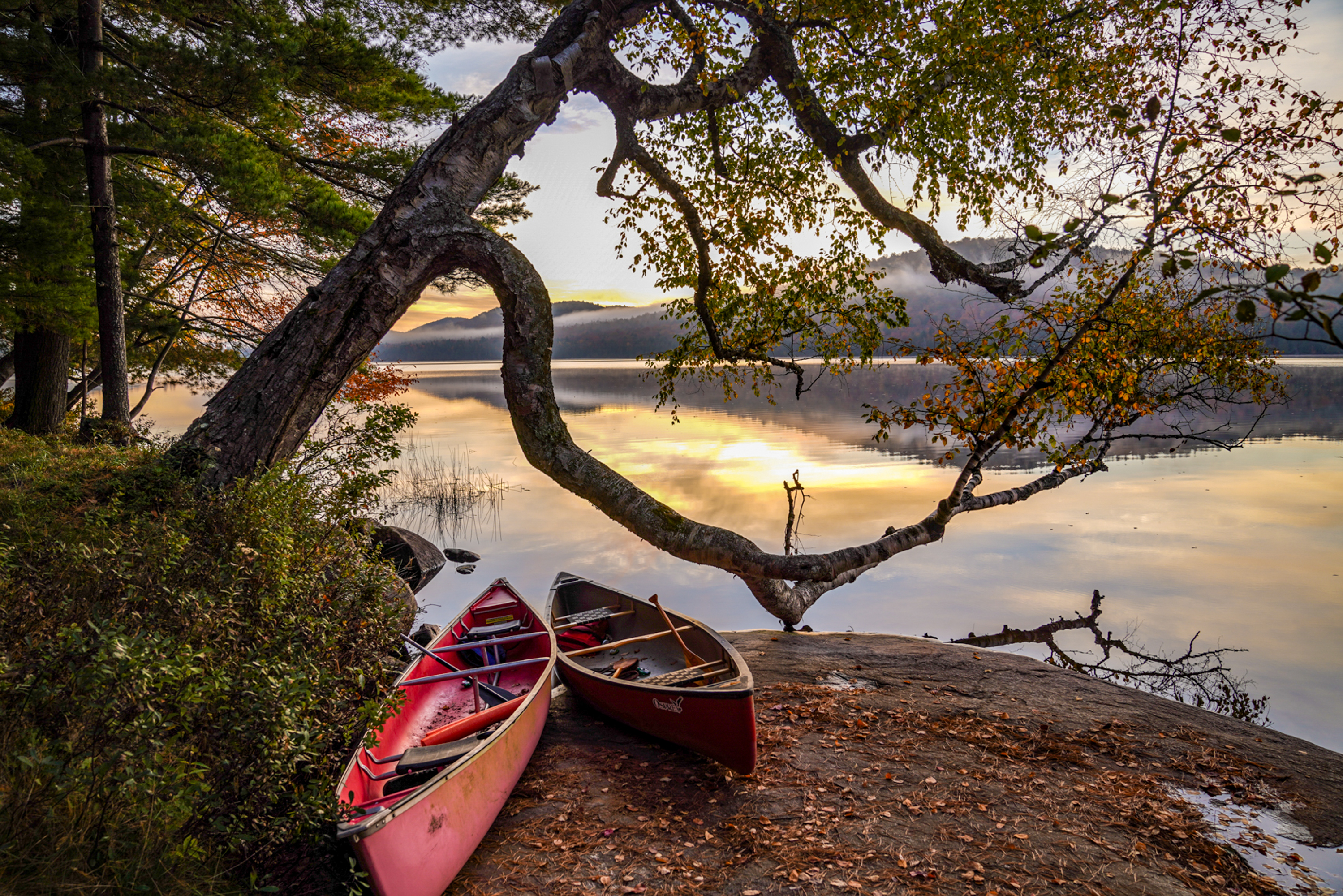 Two canoes rest under a tree leaning over a shoreline. The sun sets over the lake with mountains beyond.