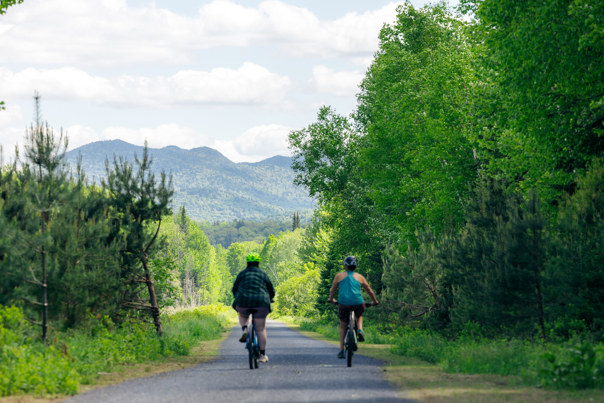Two cyclists ride away from the camera on a paved path, surrounded by trees and with mountains in the distance.
