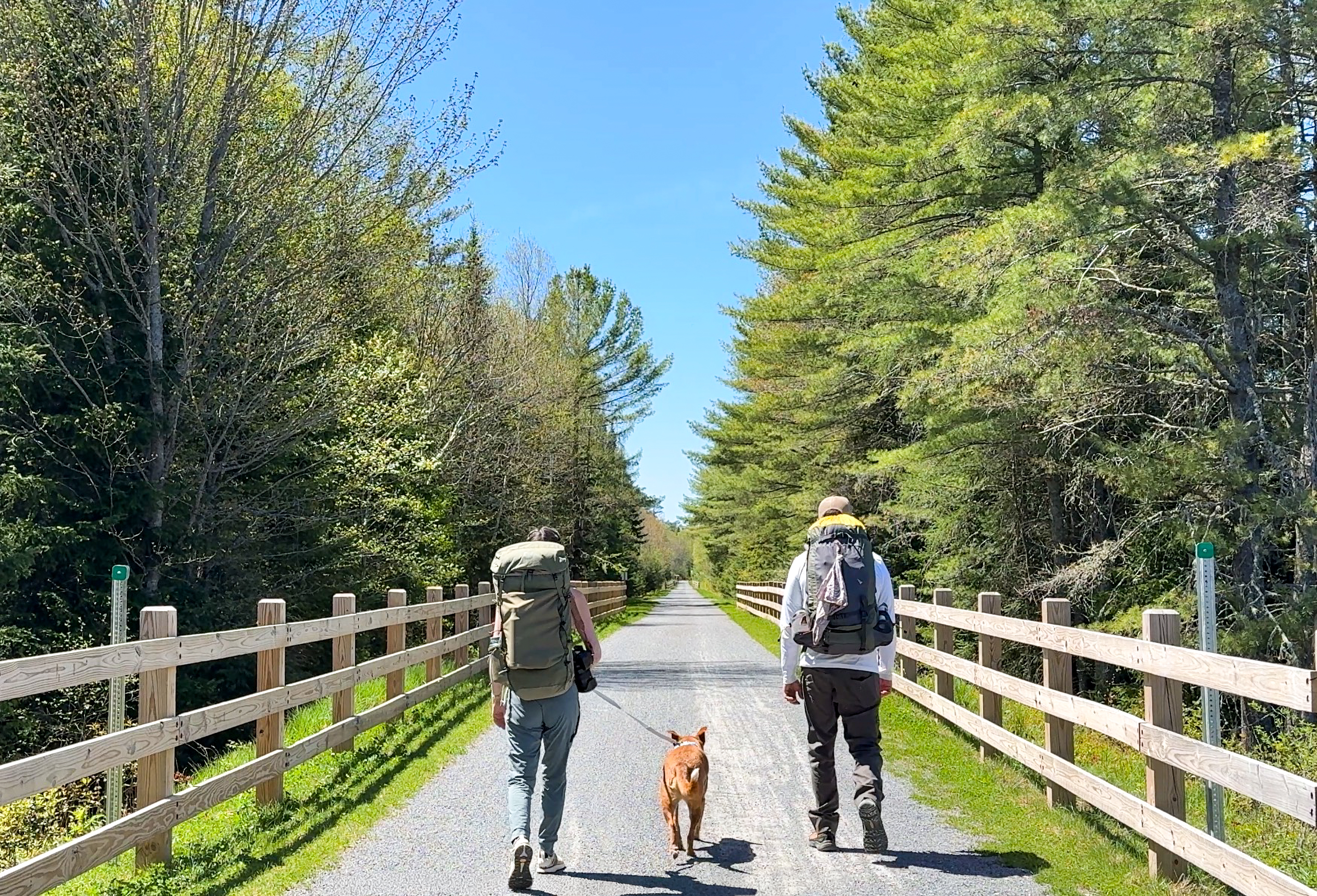 Two adults and a dog walk on a wooded trail.