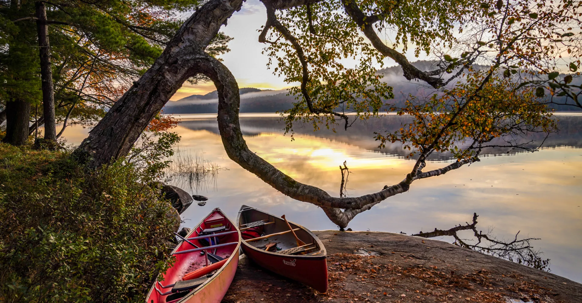 Two canoes rest under a tree leaning over a shoreline. The sun sets over the lake with mountains beyond.
