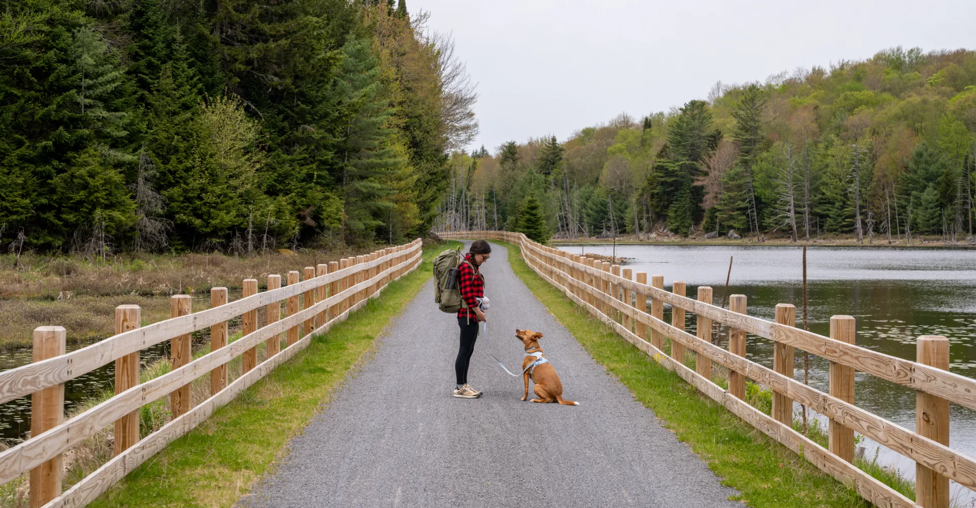 A woman and a dog look at each other on a gravel trail. There is a wood fence on each side of the trail and woods and a river beyond.