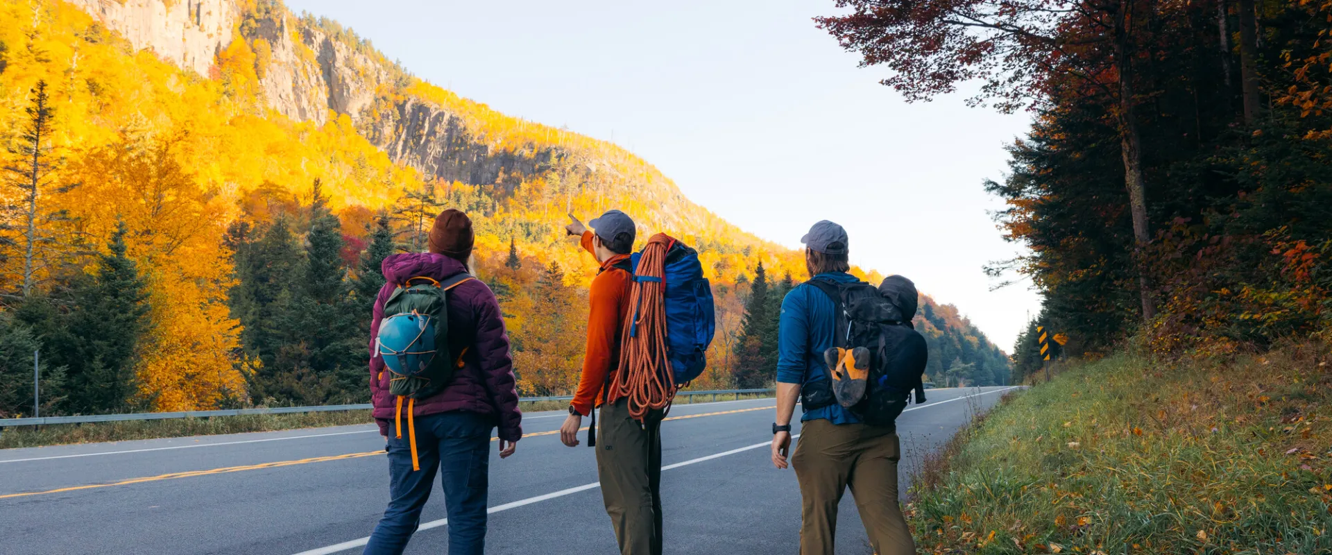 Three climbers pointing at a cliff