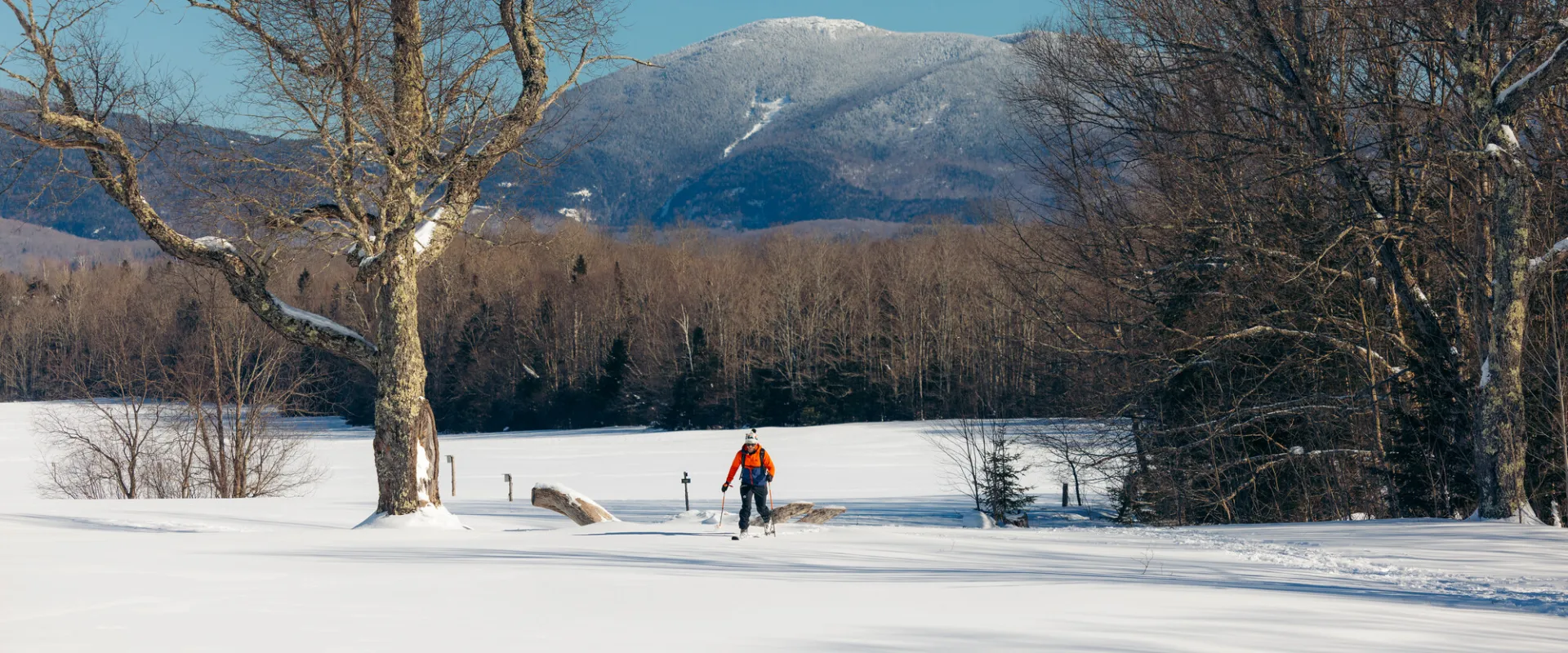 A cross-country skier in a field surrounded by mountains