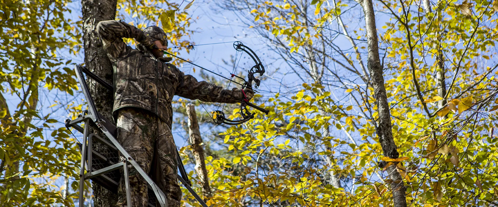 A bowhunter drawing back in a treestand