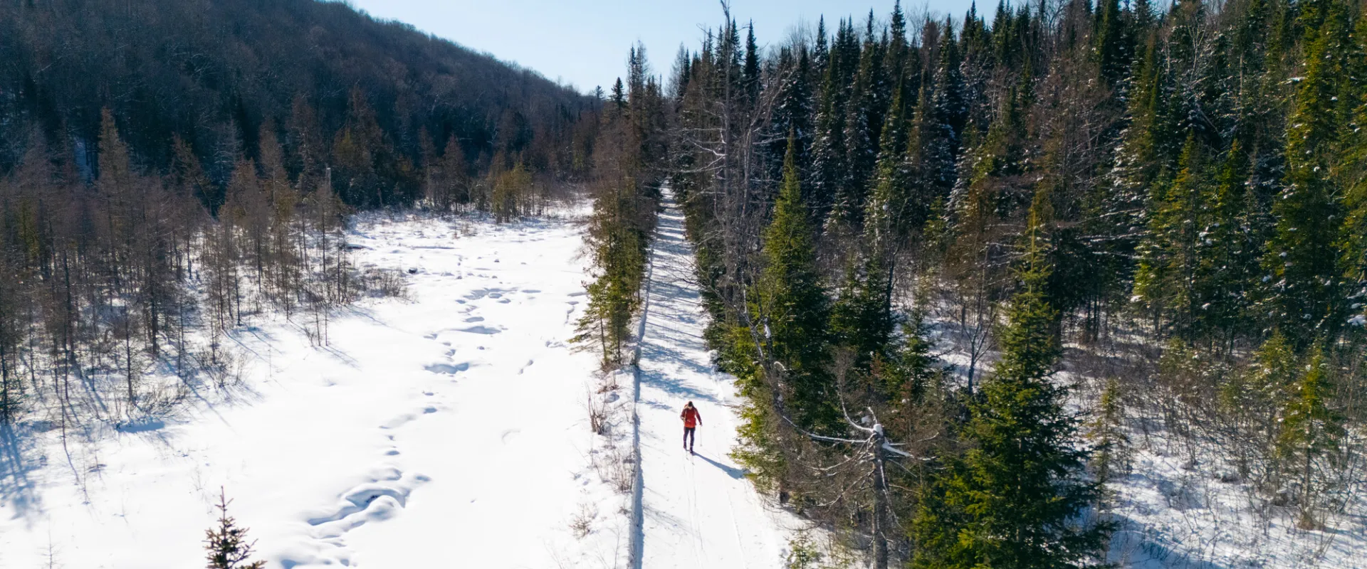 Skiing on the Bloomingdale Bog Trail.