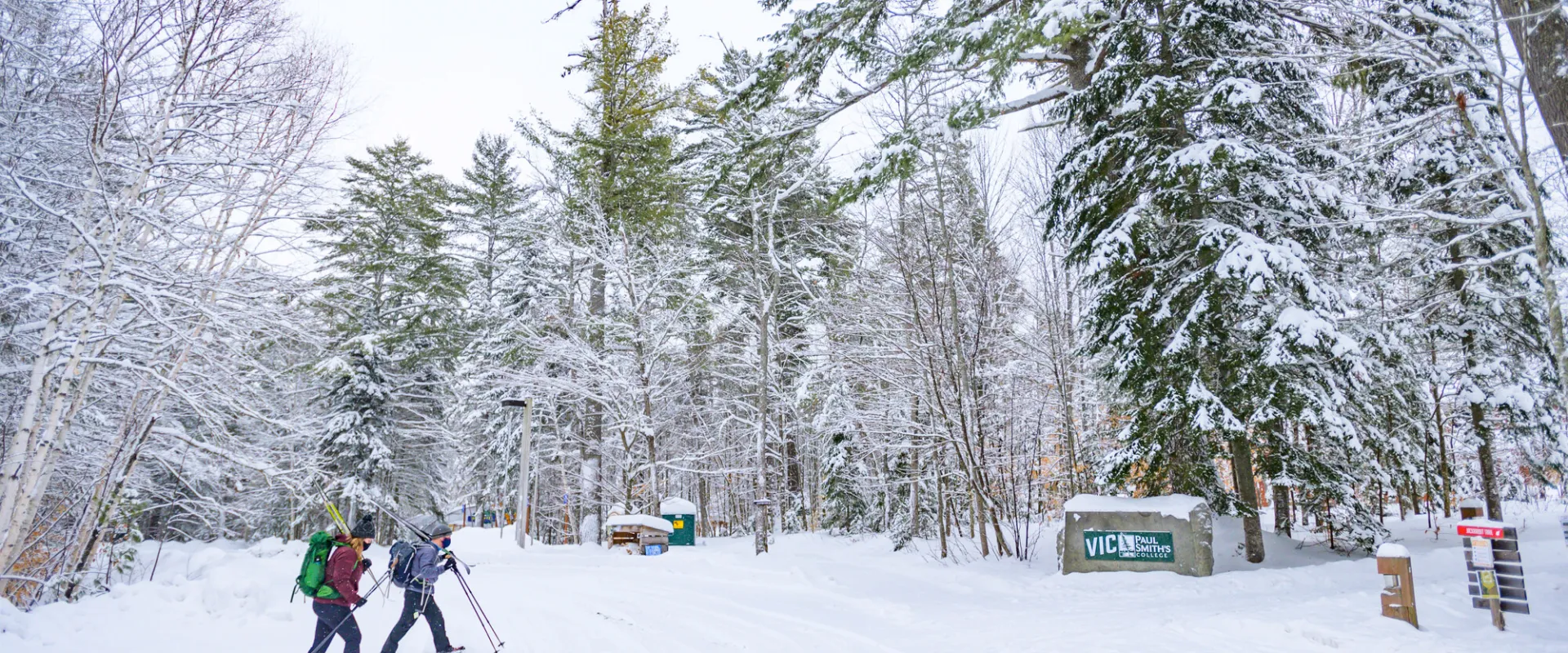Cross-country skiing in Paul Smiths.