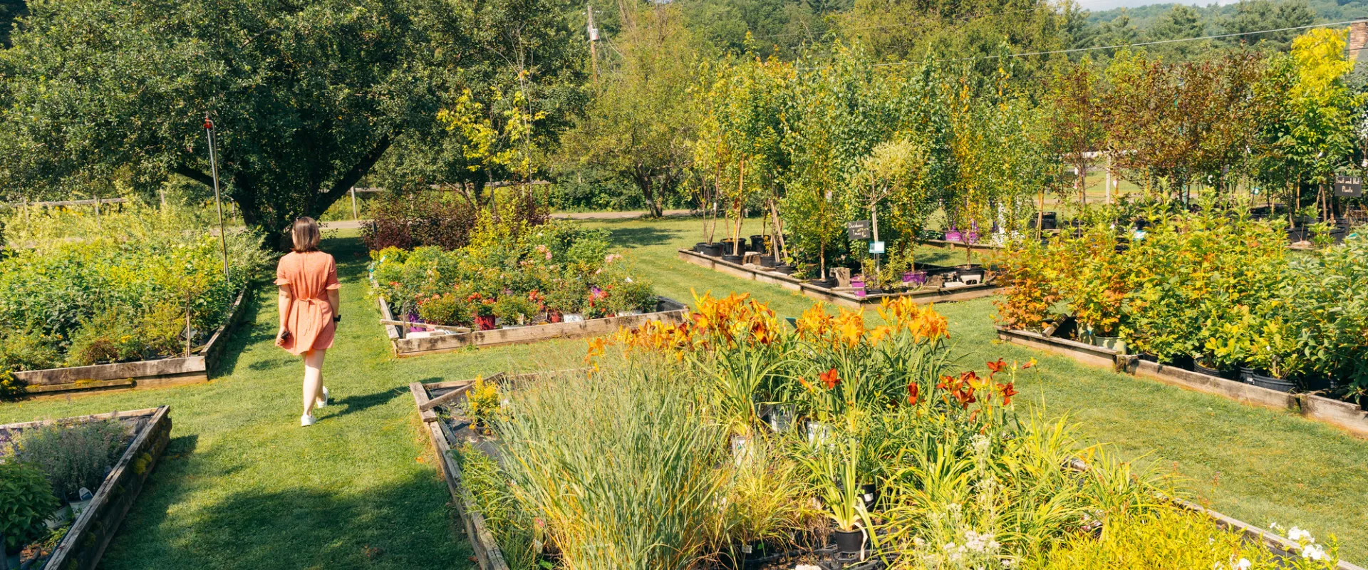 A woman walking in the flower garden