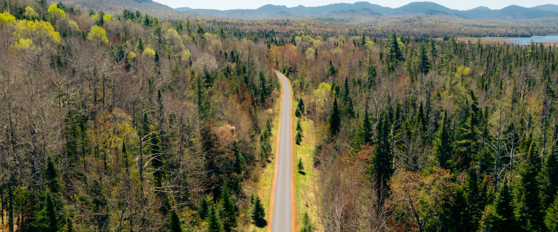 The Adirondack Rail Trail in the spring.