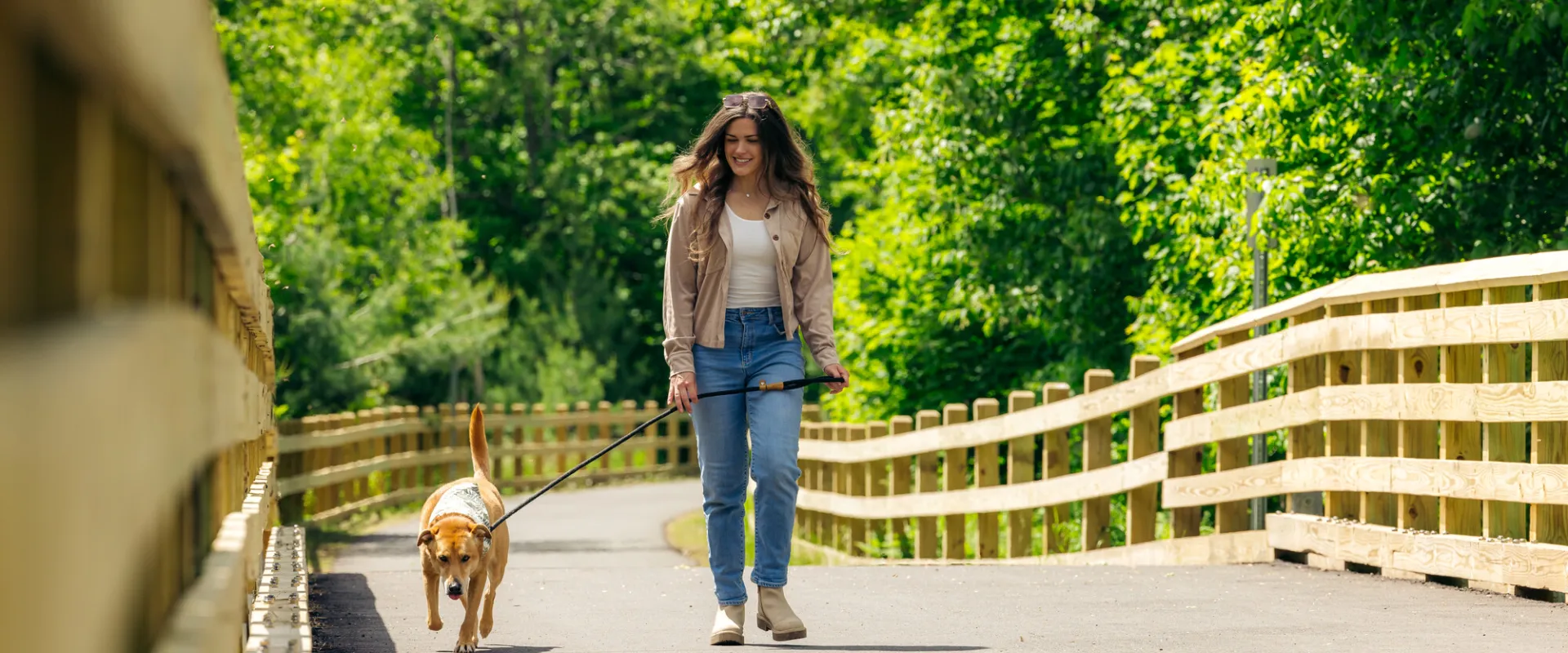 A woman walking her dog on the Rail Trail.