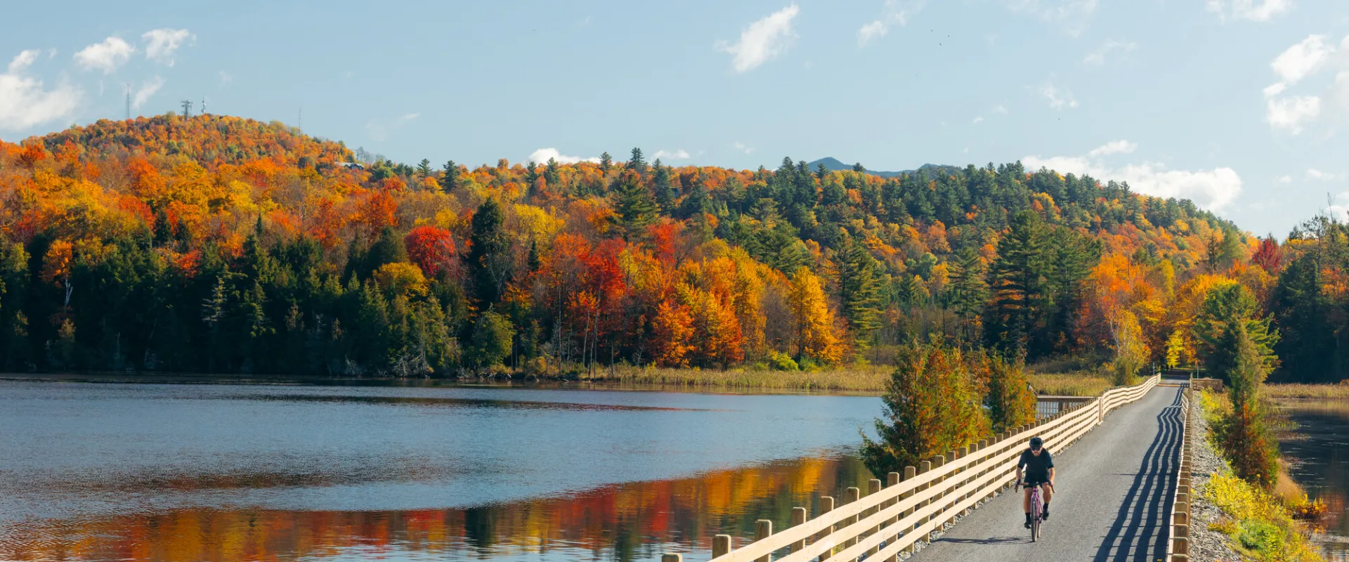 Bike the Rail Trail in fall.