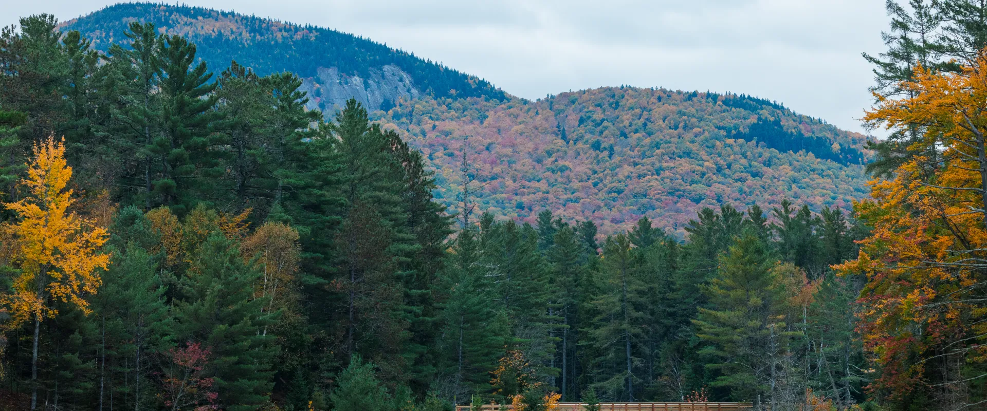 The Rail Trail in the fall.