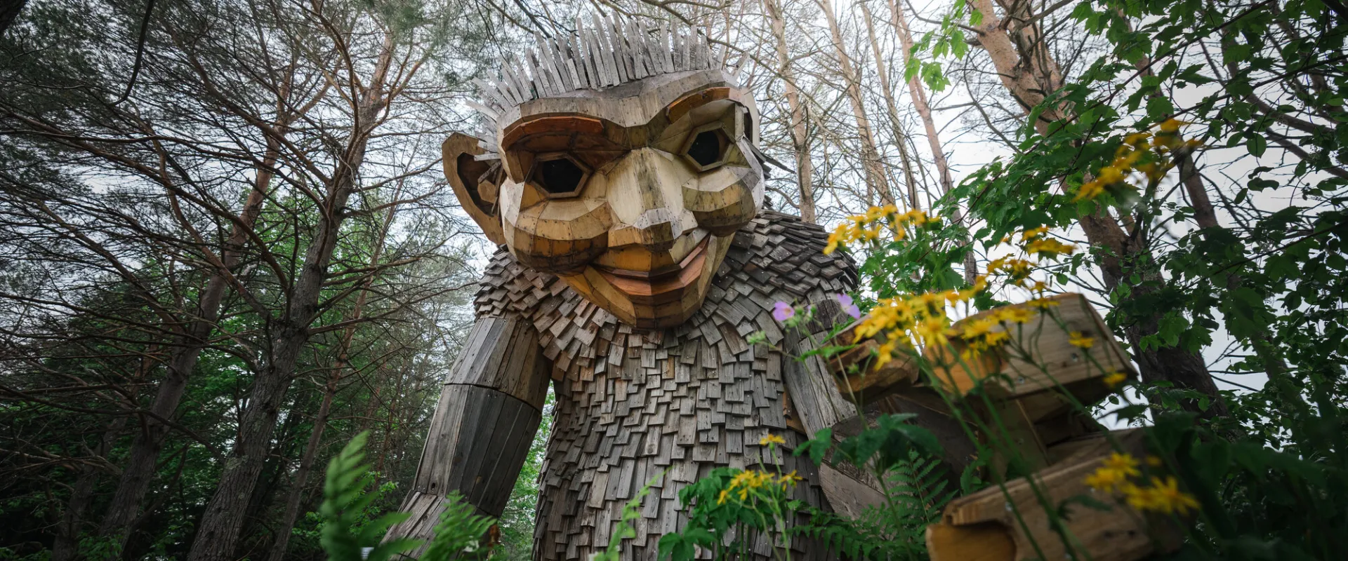 A tall wooden troll looms over the forest floor in summer.