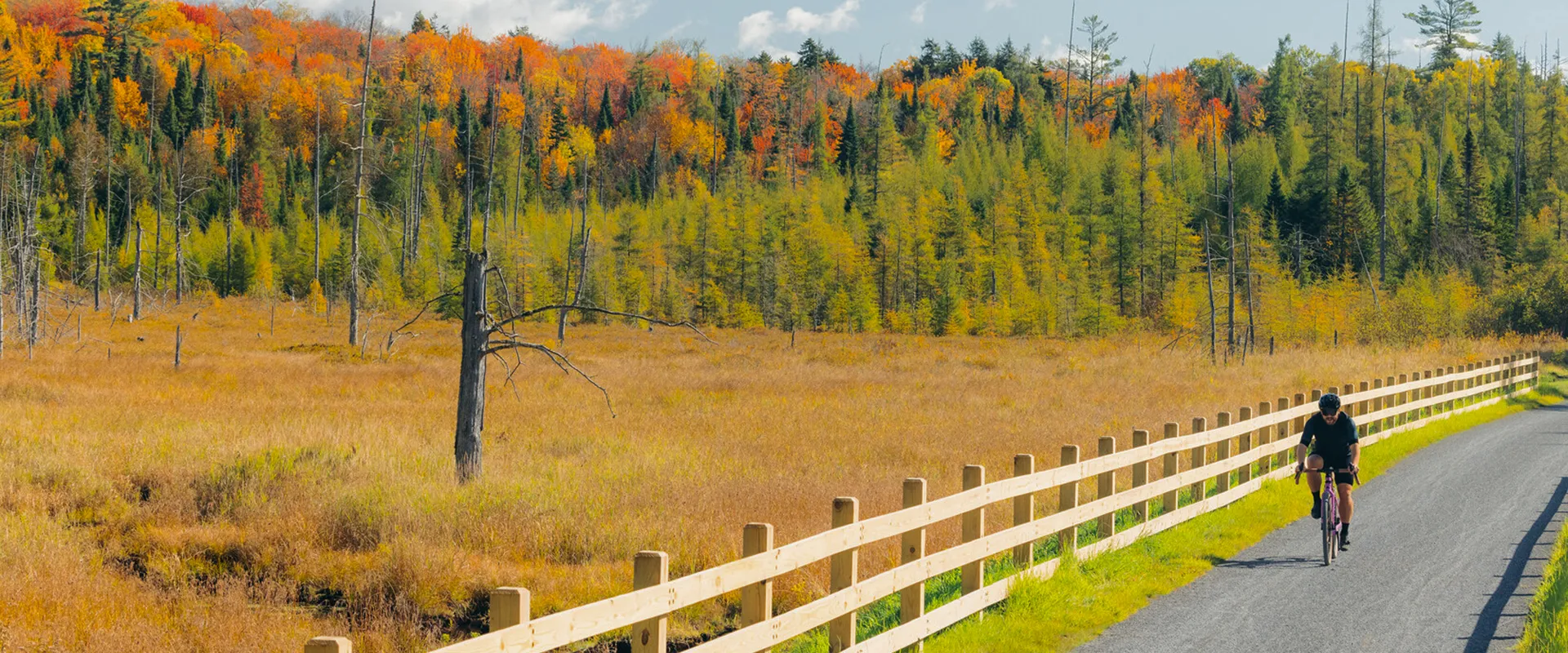 person biking on the rail trail on a scenic fall day