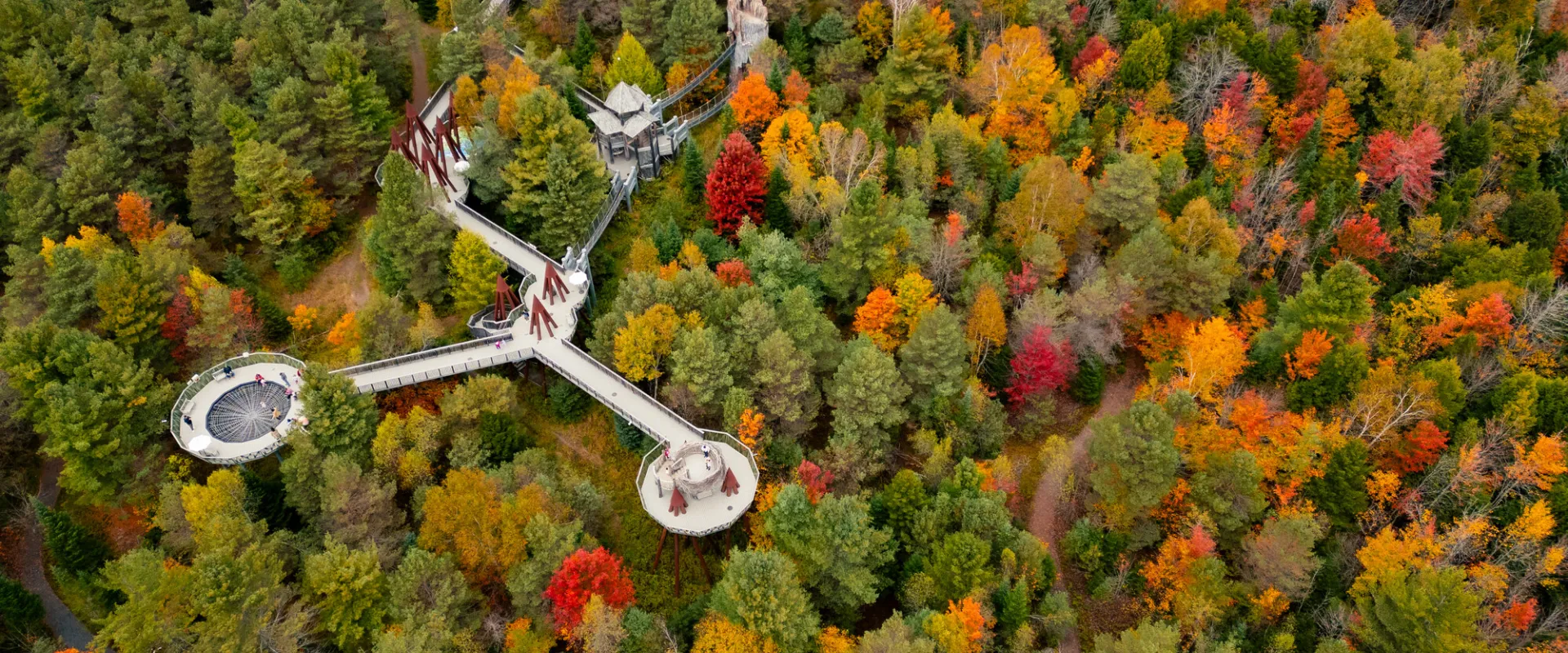 The Wild Center in the fall.