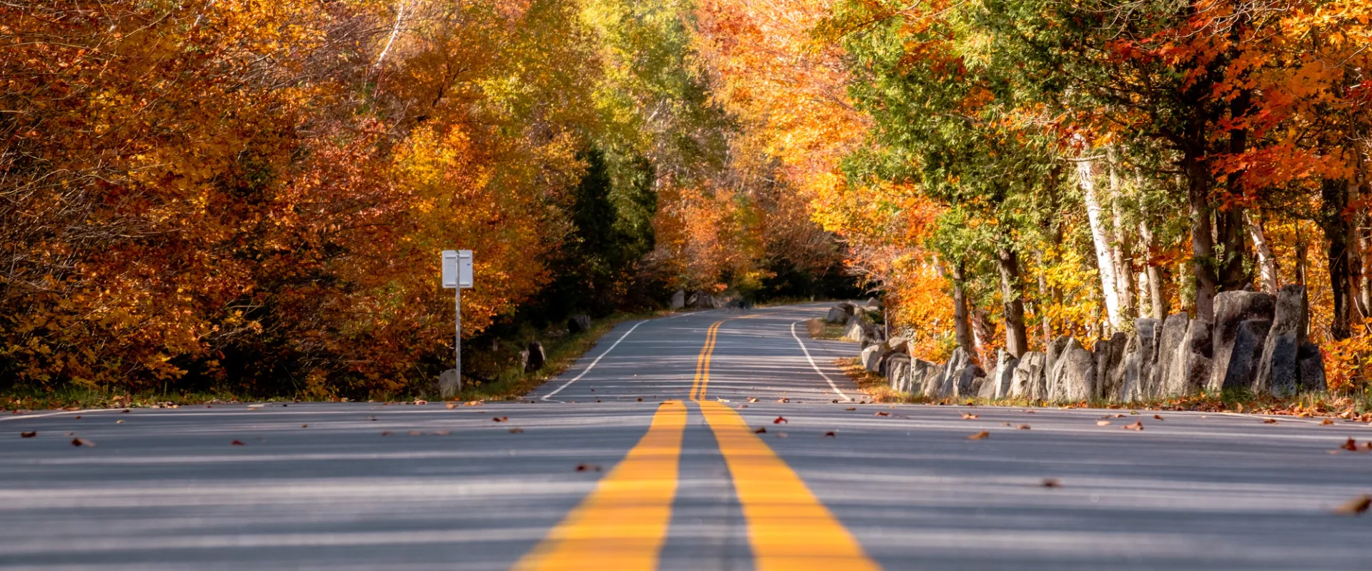 A fall scenic drive.