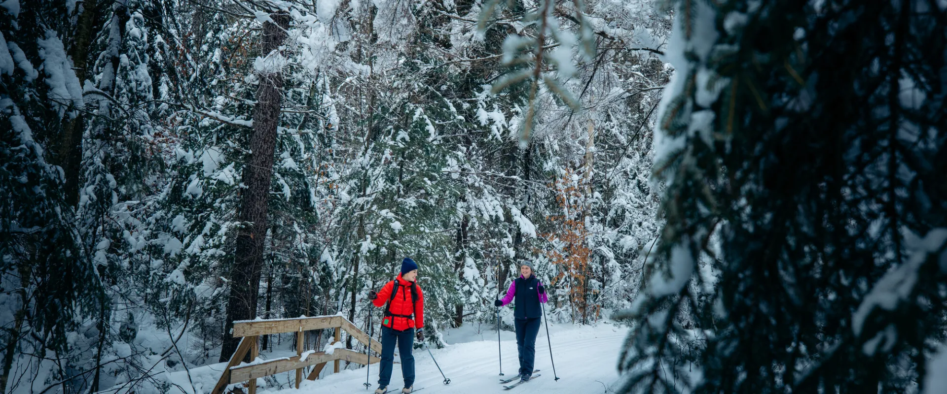 Cross-country skiing in the Adirondacks.