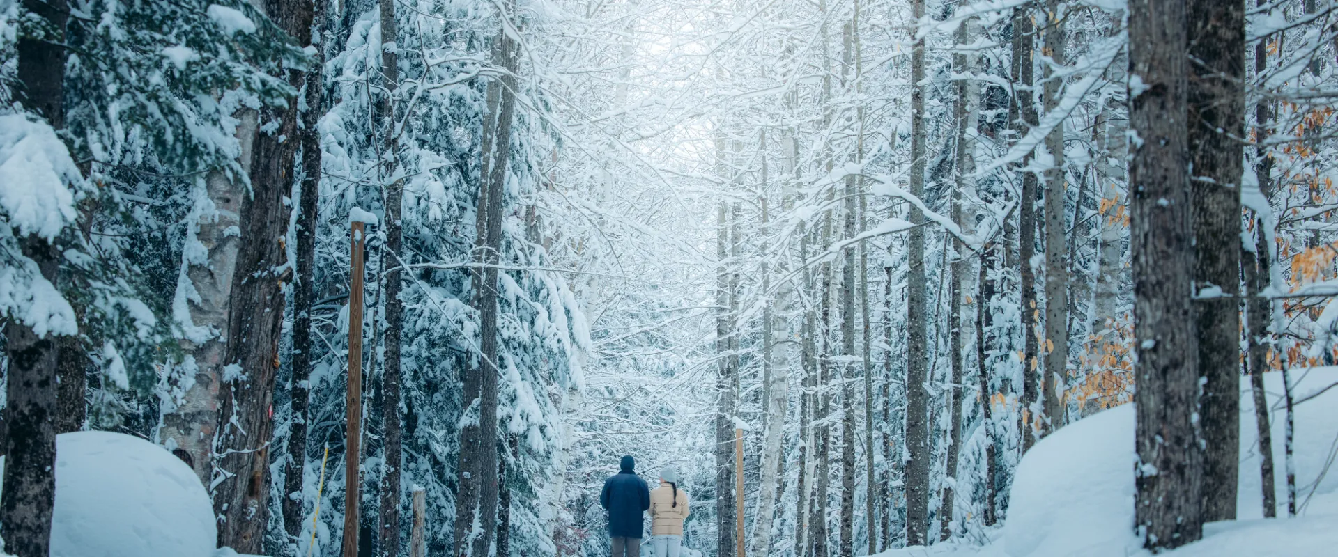 A couple cross-country skiing in the snow.