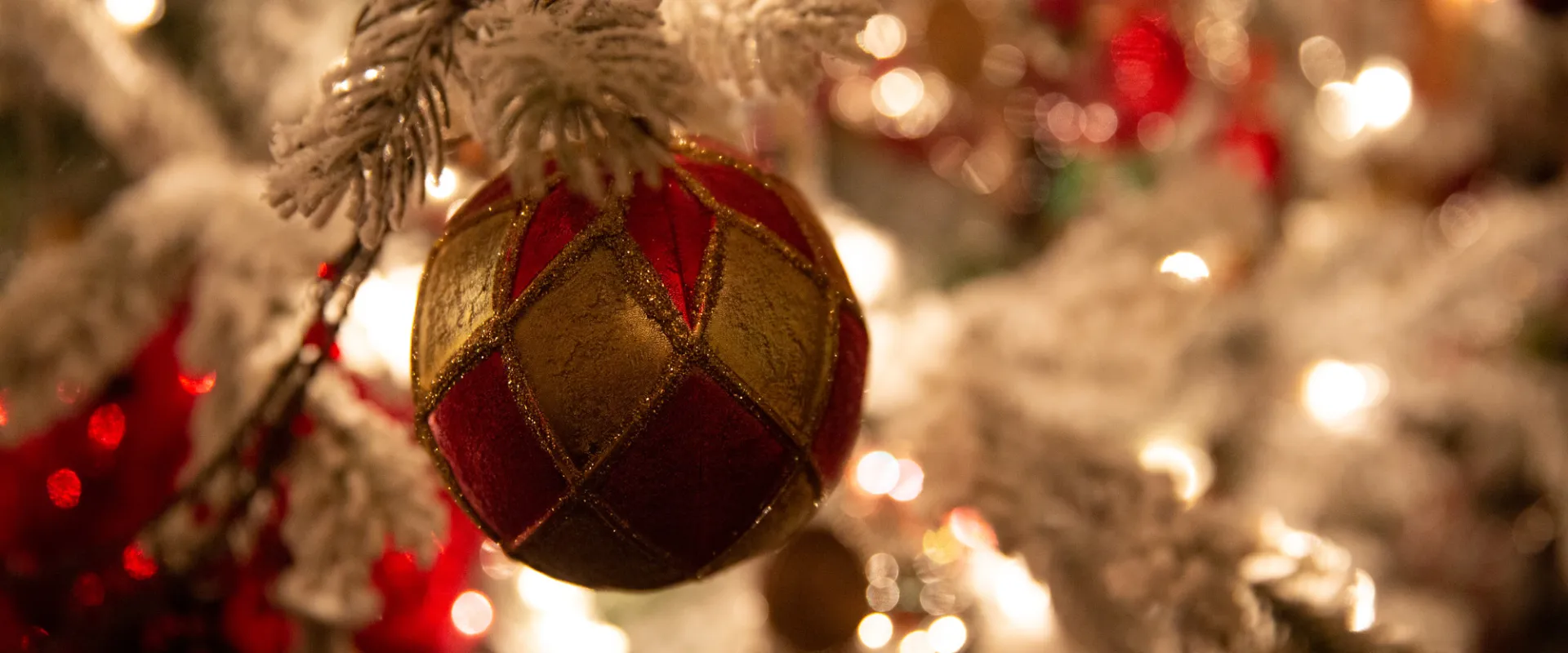 A close up of a Christmas tree.
