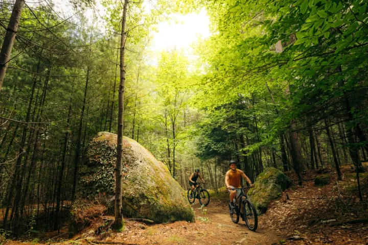 Photo of mountain biking in a forest