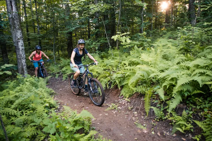Two people mountain biking in Speculator