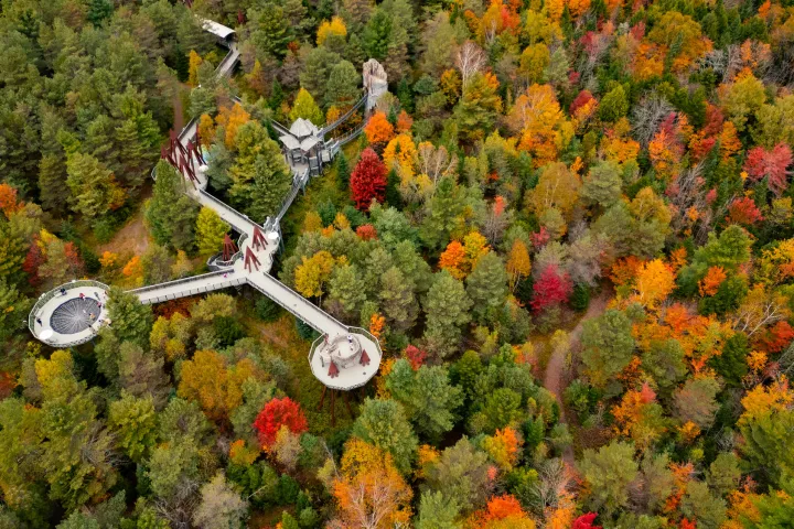 Aerial view of the Wild Walk at The Wild Center during fall