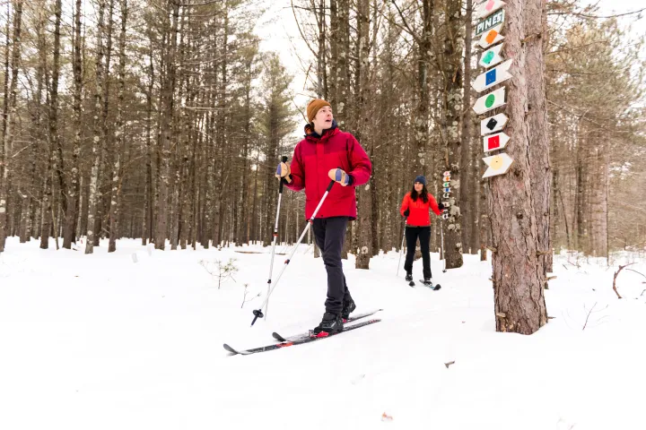 Two skiers on a well-marked trail