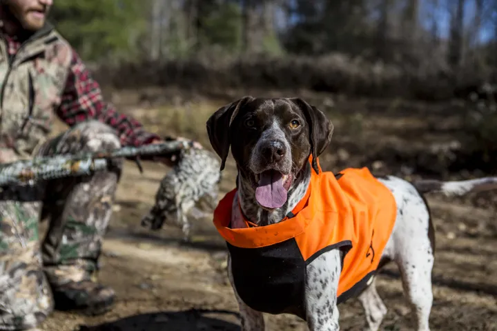 A hunting dog and its owner