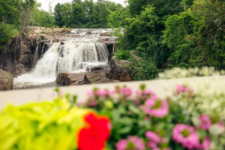 A waterfall and some bright flowers in front