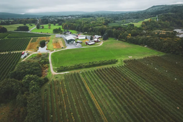 Aerial view of an apple orchard