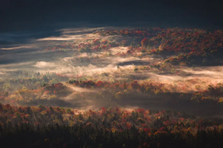 Aerial view of fall foliage