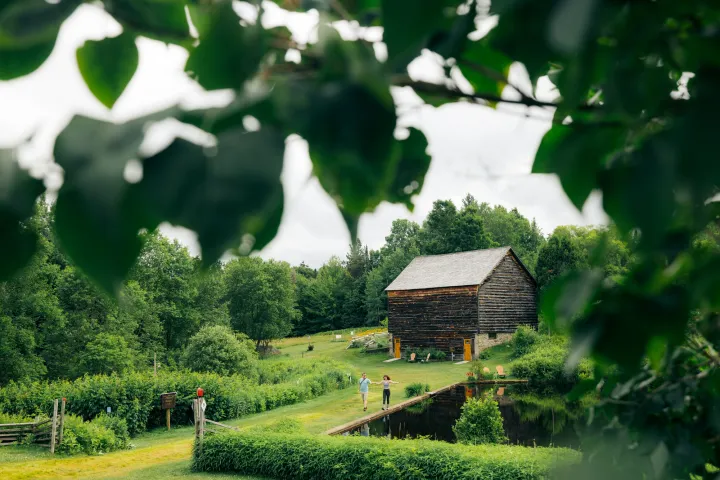 John Brown Farm seen through the trees