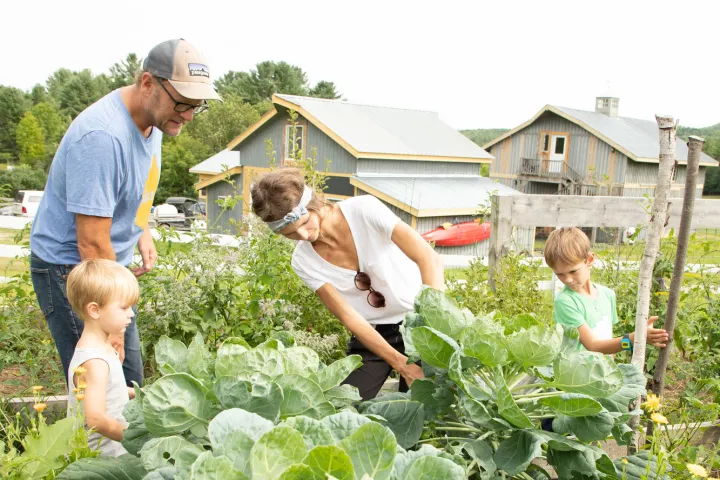 A family harvesting vegetables at a farm