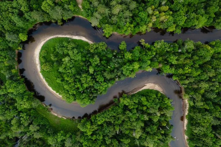 A lush green riverway