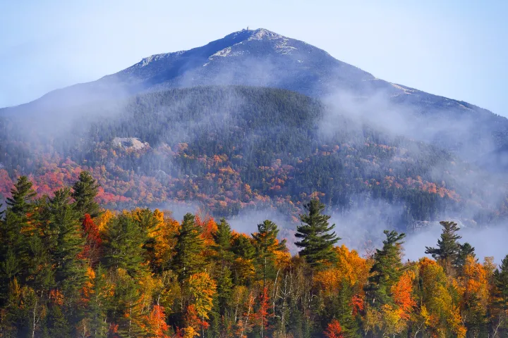 Fall foliage in front of a pointed mountain